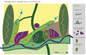 tekening van de visie