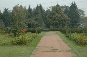 zandweg met gras en border aan de zijkanten