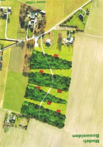 ontwerp bosonen