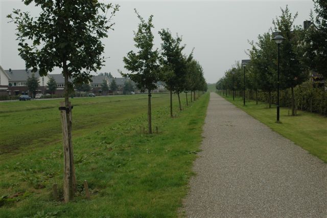 foto van een fietspad, tevens wadi en hondenuitlaadveld aan de zijkanten