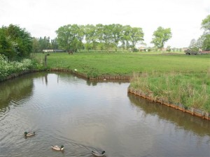 foto: sloot tussen weiden