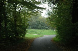 foto vanuit de besloten grafplaats naar een open weide
