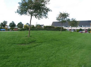 Weide na realisatie van het park Butterhuizen