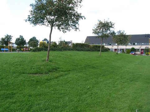 Weide na realisatie van het park Butterhuizen