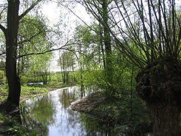 Wittensteiinpark-Dordrecht