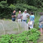 een moestuin in Doorwerht