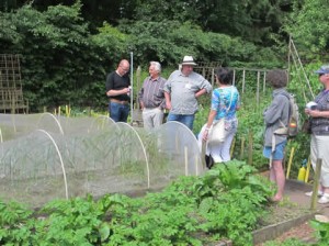 een moestuin in Doorwerht