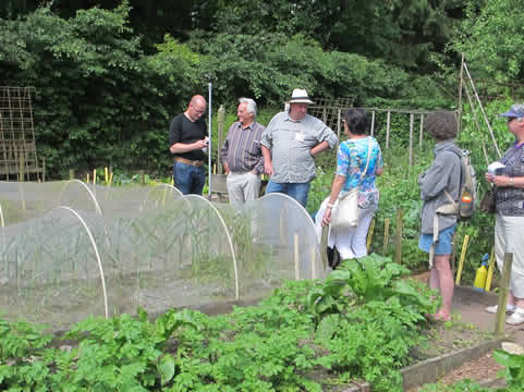een moestuin in Doorwerht