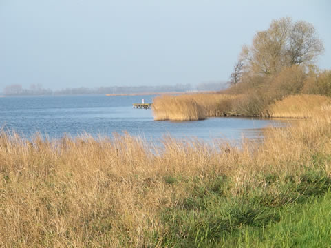 het IJsselmeer