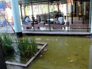kantine met vijver achter glas